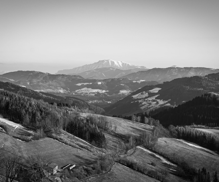 Gallery: Nature