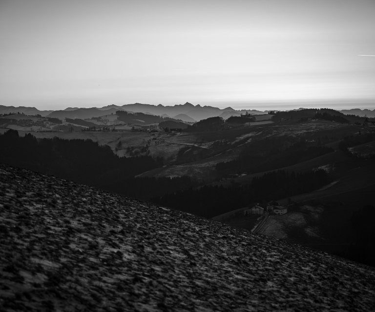 Gallery: Nature